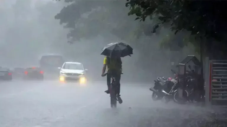 Weather LIVE: IMD Issues Red Alert for 8 Tamil Nadu Districts; Heavy Rains Batter Chennai & Tiruvallur